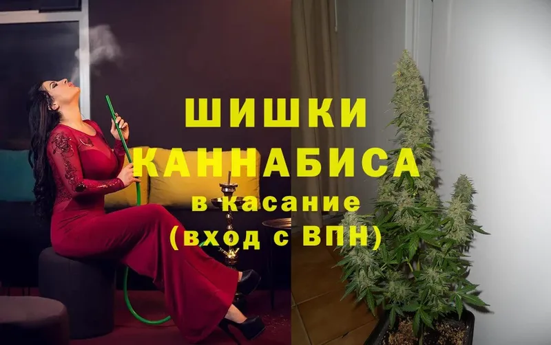 Канабис OG Kush  Феодосия 